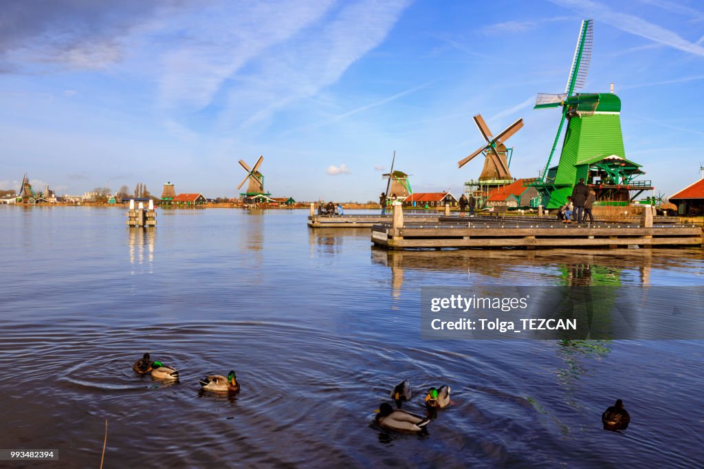 荷蘭 Zaanse Schans 的風車