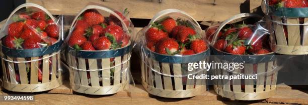 time for strawberries.. - patitucci fotografías e imágenes de stock
