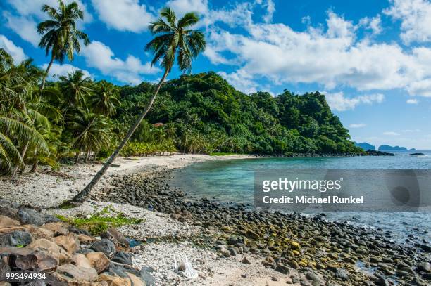 wild beach on the east coast of tutuila island, american samoa, south pacific - wild coast stock-fotos und bilder