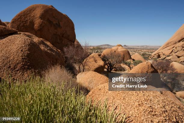 rocks and vegetation in the spitzkoppe area, spitzkoppe, damaraland, namibia - spitzkoppe stock pictures, royalty-free photos & images