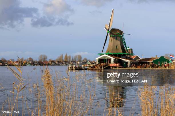 molino de viento en zaanse schans, países bajos - molinos de zaandam fotografías e imágenes de stock