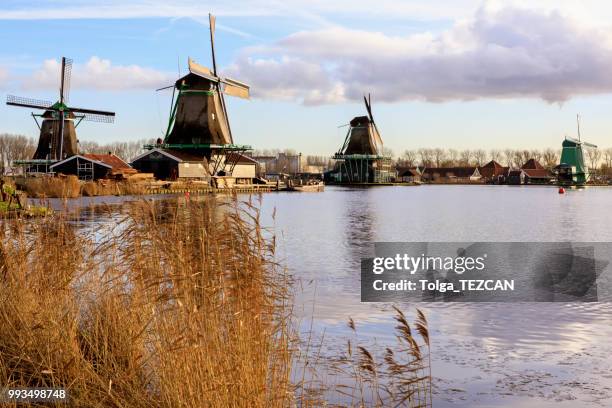 molino de viento en zaanse schans, países bajos - molinos de zaandam fotografías e imágenes de stock