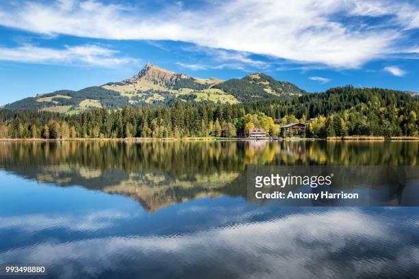 schwarzsee in autumn - harrison wood stock pictures, royalty-free photos & images