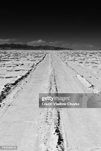 salar - salar stock pictures, royalty-free photos & images