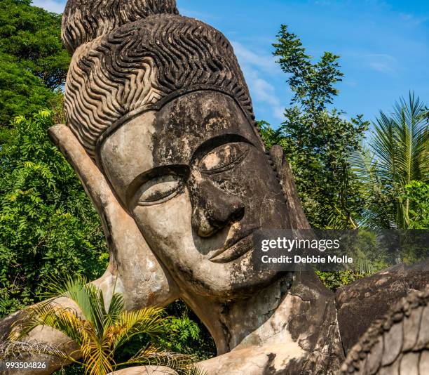 buddha park, laos - reclining buddha statue stock pictures, royalty-free photos & images