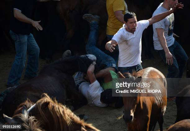 "Aloitadors" struggle with wild horses in the "curro" during the "Rapa Das Bestas" traditional event in the Spanish northwestern village of Sabucedo,...