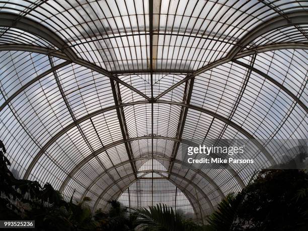 kew palm house 2 - mike parsons stock pictures, royalty-free photos & images