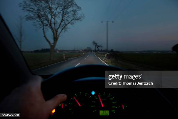 deer crossing or animal crossing, a wild boar appearing in the headlights of a moving car at dusk - deer crossing stock pictures, royalty-free photos & images