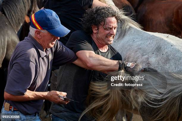 The wild horses are enclosed in "O Corru", where "Os aloitadores" fight and grab them, to cut their mane and apply medical treatments during Rapa das...