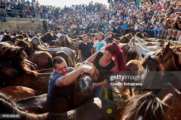 The wild horses are enclosed in "O Corru", where "Os aloitadores" fight and grab them, to cut their mane and apply medical treatments during Rapa das...