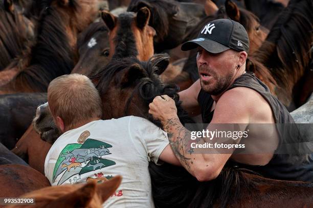 The wild horses are enclosed in "O Corru", where "Os aloitadores" fight and grab them, to cut their mane and apply medical treatments during Rapa das...