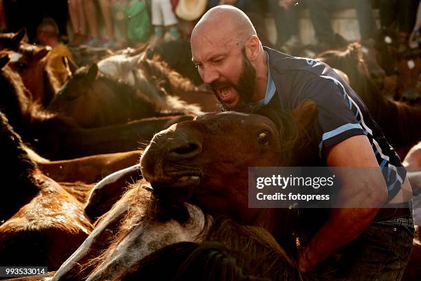 The wild horses are enclosed in "O Corru", where "Os aloitadores" fight and grab them, to cut their mane and apply medical treatments during Rapa das...