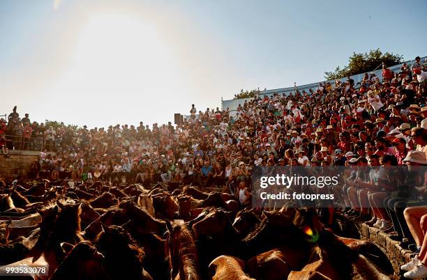 The wild horses are enclosed in "O Corru", where "Os aloitadores" fight and grab them, to cut their mane and apply medical treatments during Rapa das...