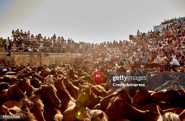 The wild horses are enclosed in "O Corru", where "Os aloitadores" fight and grab them, to cut their mane and apply medical treatments during Rapa das...