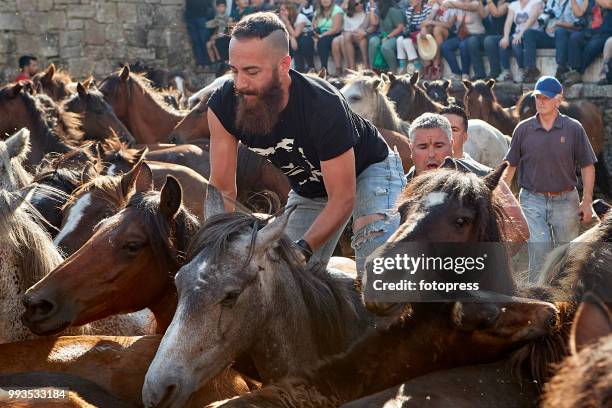 The wild horses are enclosed in "O Corru", where "Os aloitadores" fight and grab them, to cut their mane and apply medical treatments during Rapa das...