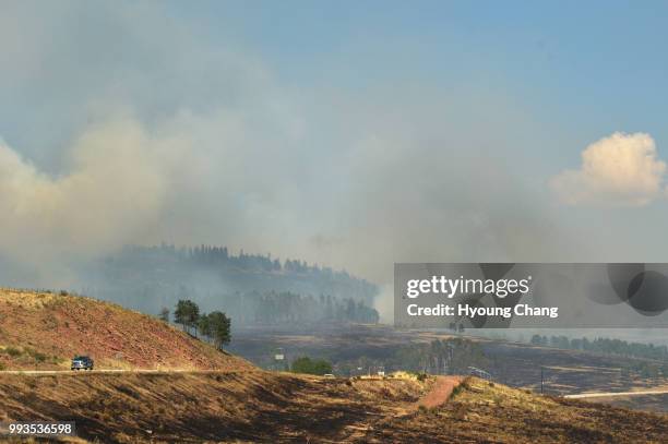 Spring Cover Fire 102 Spring Creek Pass Stock Photos, High-Res Pictures, and Images ...