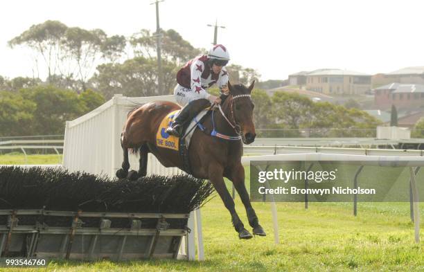 Bit of a Lad ridden by John Allen clears the last in the Greg Bull Painting 1JW Hurdle at Warrnambool Racecourse on July 08, 2018 in Warrnambool,...