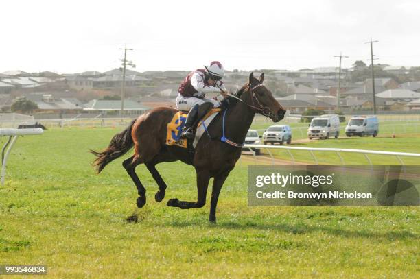 Bit of a Lad ridden by John Allen wins the Greg Bull Painting 1JW Hurdle at Warrnambool Racecourse on July 08, 2018 in Warrnambool, Australia.