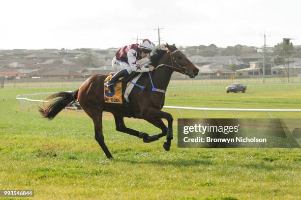 Bit of a Lad ridden by John Allen wins the Greg Bull Painting 1JW Hurdle at Warrnambool Racecourse on July 08, 2018 in Warrnambool, Australia.