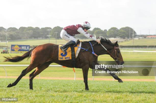 Bit of a Lad ridden by John Allen wins the Greg Bull Painting 1JW Hurdle at Warrnambool Racecourse on July 08, 2018 in Warrnambool, Australia.