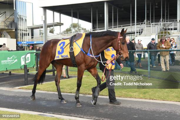 Bit of a Lad parades before the Greg Bull Painting 1JW Hurdle at Warrnambool Racecourse on July 08, 2018 in Warrnambool, Australia.