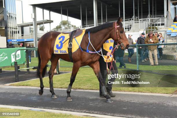 Bit of a Lad parades before the Greg Bull Painting 1JW Hurdle at Warrnambool Racecourse on July 08, 2018 in Warrnambool, Australia.