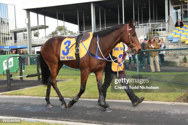 Bit of a Lad parades before the Greg Bull Painting 1JW Hurdle at Warrnambool Racecourse on July 08, 2018 in Warrnambool, Australia.