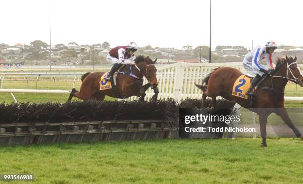 Bit of a Lad ridden by John Allen jumps during the Greg Bull Painting 1JW Hurdle at Warrnambool Racecourse on July 08, 2018 in Warrnambool, Australia.