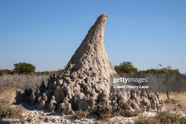 termite mound, etosha national park, namibia - isoptera stock pictures, royalty-free photos & images