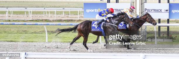 Am Vinnie ridden by Noel Callow wins the Polytrack Maiden Plate at Racing.com Park Synthetic Racecourse on July 08, 2018 in Pakenham, Australia.