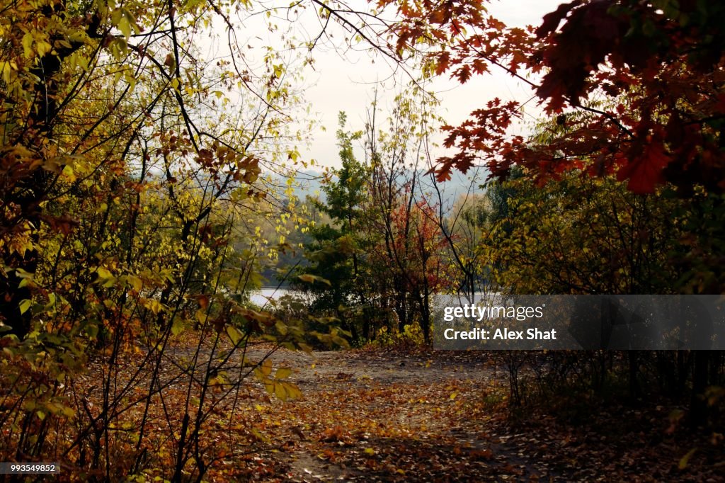 Autumn sonata.jpg