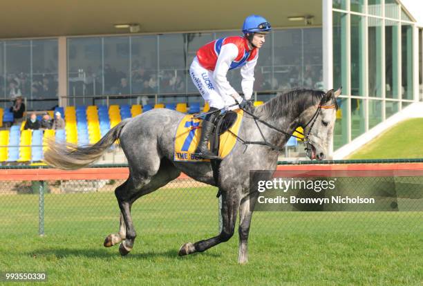 Daily Donation ridden by Lee Horner goes out for the Dwyer Robinson BM58 Highweight Handicap at Warrnambool Racecourse on July 08, 2018 in...