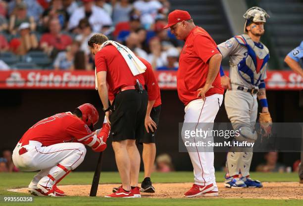 Manager Mike Scioscia looks on as Shohei Ohtani of the Los Angeles Angels of Anaheim grimaces in pain after hitting a foul off his knee while Yasmani...