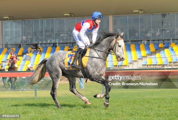 Daily Donation ridden by Lee Horner goes out for the Dwyer Robinson BM58 Highweight Handicap at Warrnambool Racecourse on July 08, 2018 in...