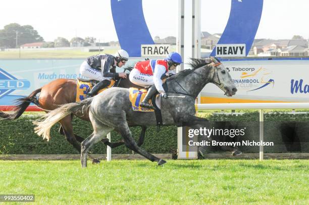 Daily Donation ridden by Lee Horner wins the Dwyer Robinson BM58 Highweight Handicap at Warrnambool Racecourse on July 08, 2018 in Warrnambool,...