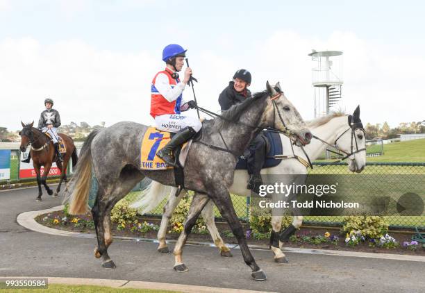 Daily Donation ridden by Lee Horner returns after the Dwyer Robinson BM58 Highweight Handicap at Warrnambool Racecourse on July 08, 2018 in...