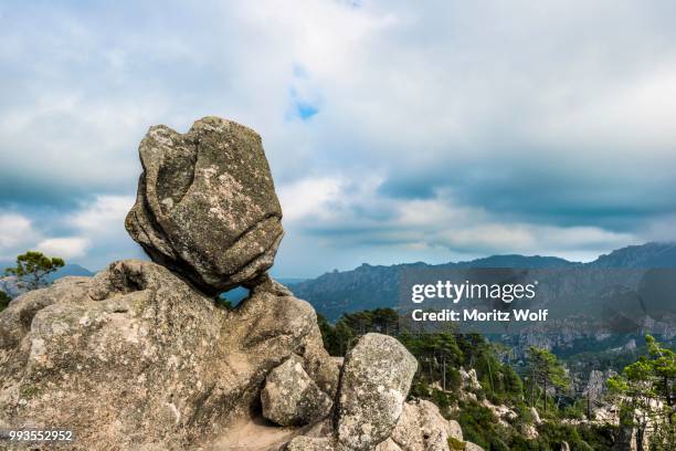 rock formation, mountain scenery, l'ospedale, alta rocca, corsica, france - ospedale fotografías e imágenes de stock