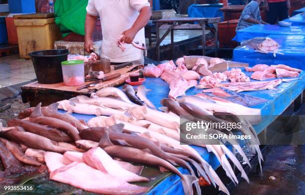 Sharks are seen displayed for sale in the Meulaboh market. Sharks became one of the protected fishes, now included in Appendix II's list of the...