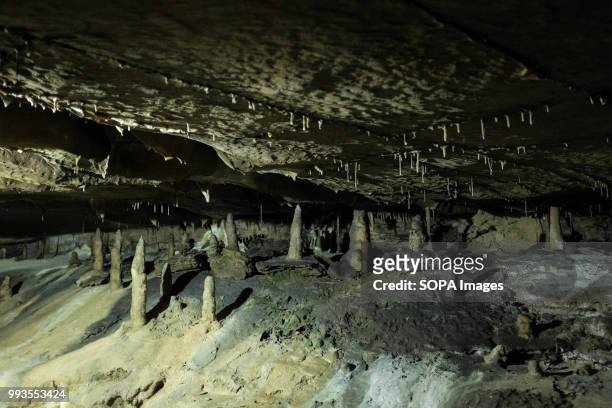 Stalagmites seen on the wall of the cave. Ingleborough Cave is a beautiful cave close to the village of Clapham in North Yorkshire, England adjacent...