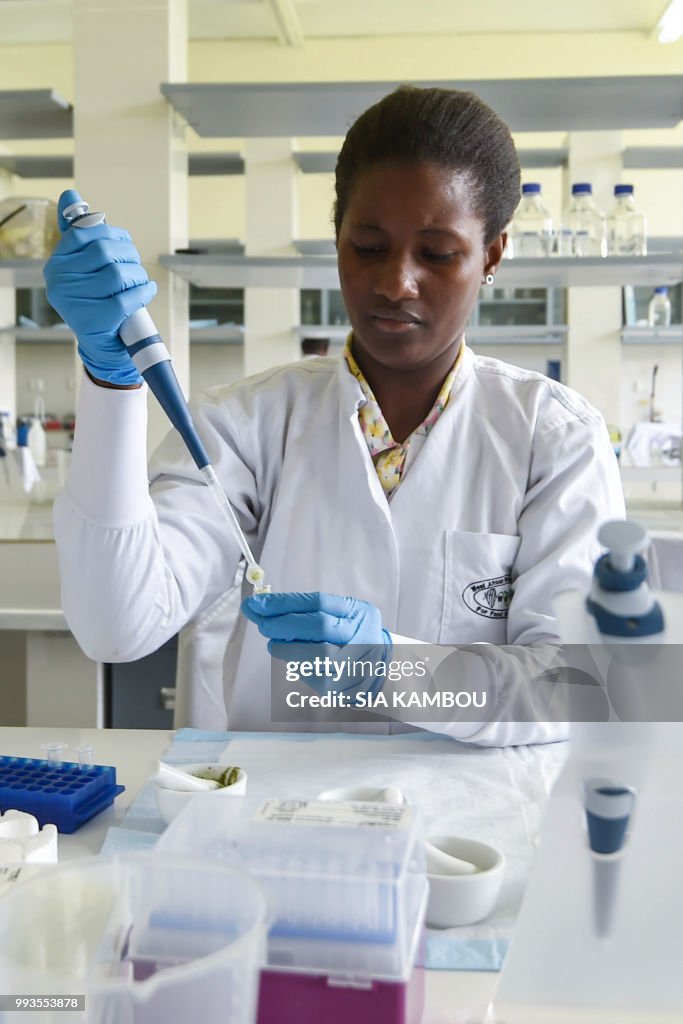 ICOAST-AGRICULTURE-FOOD-RESEARCH-CASSAVA
