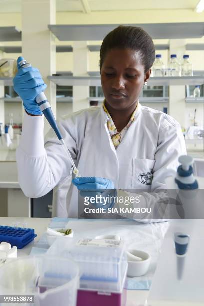 Woman works in a laboratory of a research centre specialised in cassava on June 27, 2018 in Bingerville, as part of the West African Virus...