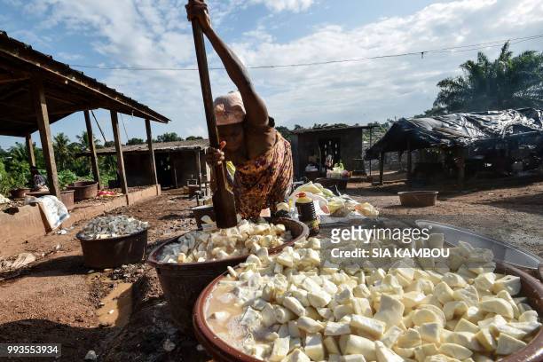 Woman cleans cassava , on a production site of "attieke", a side dish made from cassava, in Affery, on June 25, 2018. - Researchers from half a dozen...