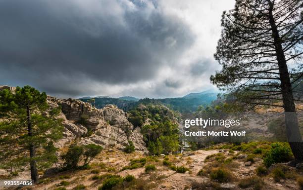 Alta Roca 71 Alta Corsica Stock Photos, High-Res Pictures, and Images - Getty Images