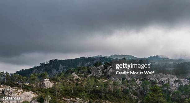 mountain landscape with dramatic clouds, alta rocca, l'ospedale, corsica, france - ospedale fotografías e imágenes de stock