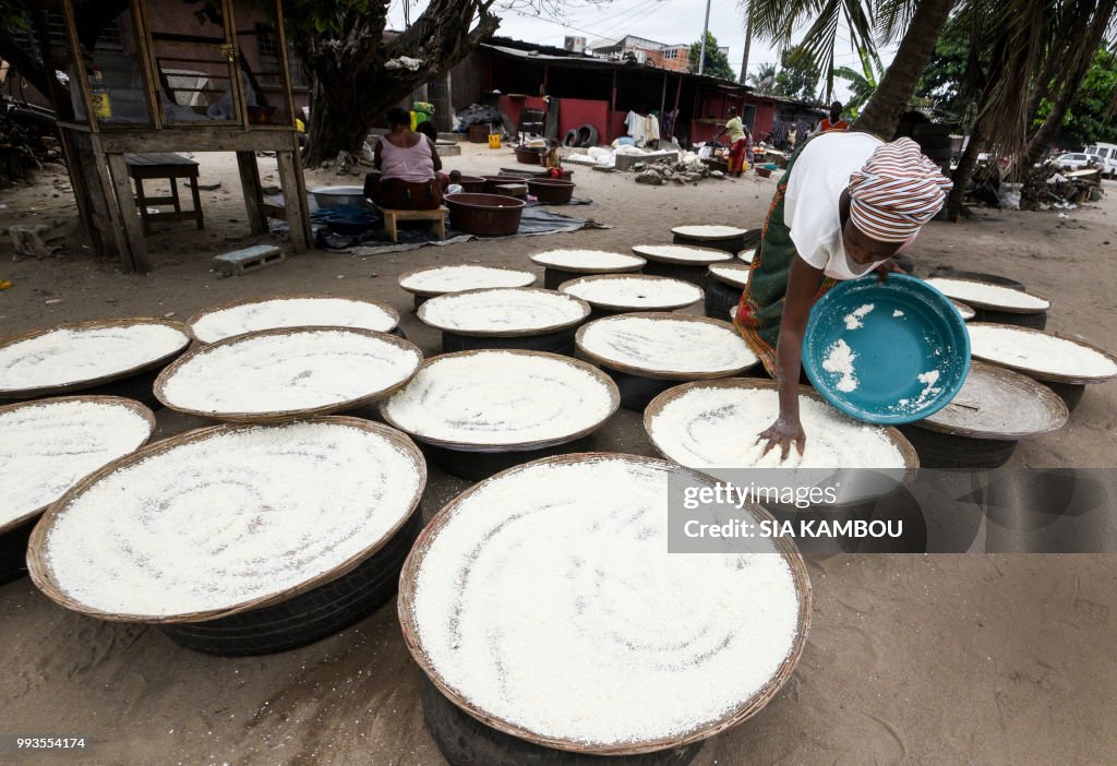 ICOAST-AGRICULTURE-FOOD-RESEARCH-CASSAVA