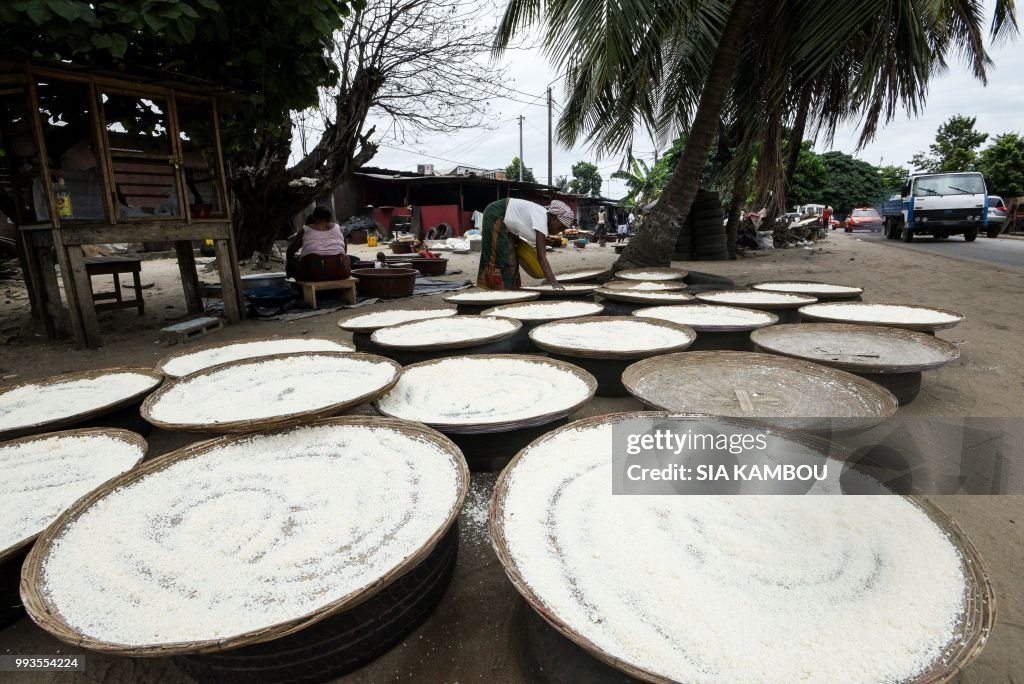 ICOAST-AGRICULTURE-FOOD-RESEARCH-CASSAVA