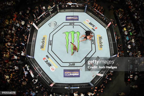 An overhead view as Daniel Cormier celebrates his knockout victory over Stipe Miocic in their UFC heavyweight championship fight during the UFC 226...