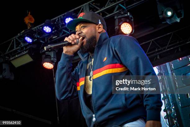 Ghostface Killah performs on day 3 of the RBC Bluesfest at LeBreton Flats on July 7, 2018 in Ottawa, Canada.