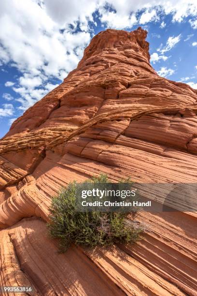 rock formations of the teepees, south coyote butt, marble canyon, arizona, united states - marble canyon foto e immagini stock