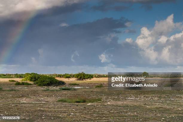rainbow at lac bay, bonaire - caribisch nederland stockfoto's en -beelden